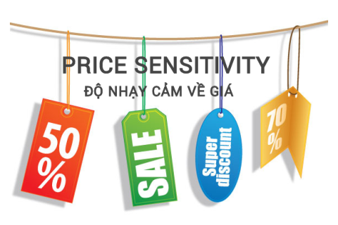 Độ nhạy cảm về giá (Price Sensitivity) là gì? Đặc điểm và yếu tố ảnh hưởng