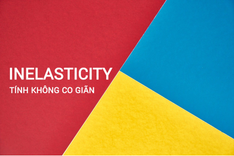 Tính không co giãn (Inelasticity) trong kinh tế là gì? Đặc điểm