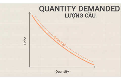 Lượng cầu (Quantity Demanded) là gì? Đặc điểm và mối quan hệ với giá