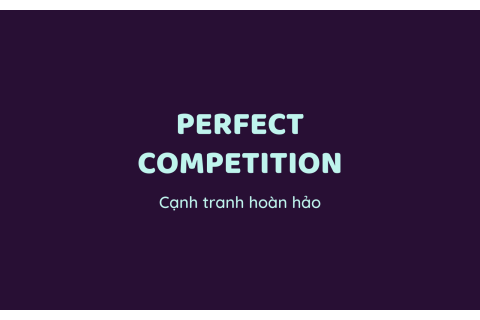 Cạnh tranh hoàn hảo (Perfect Competition) là gì? Ví dụ về cạnh tranh hoàn hảo