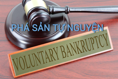 Phá sản tự nguyện (Voluntary Bankruptcy) là gì? Đặc điểm và các hình thức khác