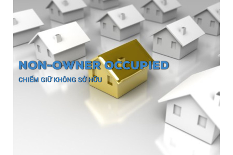 Chiếm giữ không sở hữu (Non-Owner Occupied) là gì? Đặc điểm