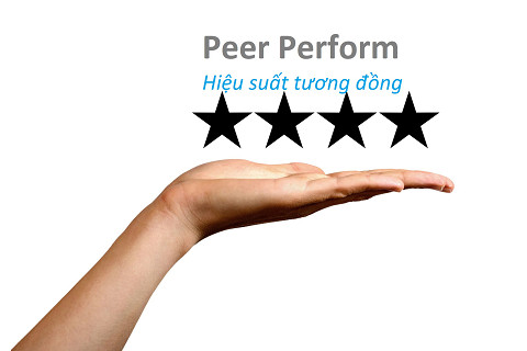 Hiệu suất tương đồng (Peer Perform) là gì? Ví dụ về Hiệu suất tương đồng