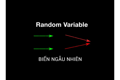 Biến ngẫu nhiên (Random Variable) là gì? Đặc điểm