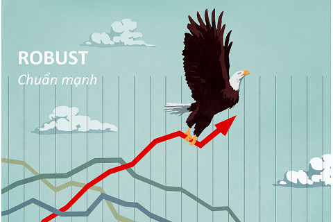 Chuẩn mạnh (Robust) là gì? Chuẩn mạnh trong các Mô hình tài chính doanh nghiệp