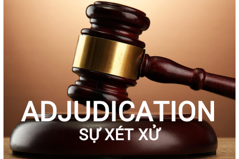 Sự xét xử (Adjudication) là gì? Đặc điểm và qui trình